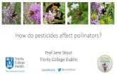 How do pesticides affect pollinators?€¦ · Arable Vegetables Soft & top fruit Herbicides Fungicides Insecticides Plant growth regulators Molluscicides Bio contol •Regulated by