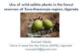 Use of wild edible plants in the forest reserves of Teso ......Wild edible plants project Goal: Diversity & use of wild edible plants in 8 forest reserves Semi-structured questionnaires