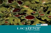 Contents · Lichen communities are classified based on the substrate on which they grow on viz. terricolous (on soil), saxicolous (on rock), lignicolous (on wood), corticolous (on