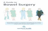 A Guide to Bowel Surgery - MUHC Patient Educationv...recovery program called a Clinical Care Pathway. The goal of this program is to help you recover quickly and safely. Your health-care
