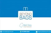 Why You Should Choose Baffle Bag? | Bulk Corp