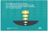 Evidence Summit on Reducing Maternal and Neonatal ...€¦ · the scope of six determinant areas of maternal and neonatal deaths; shift from Evidence-Based Health Policy (EBHP) approach