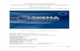 D2.3.1.2 Information Management CETLE 15July09 · 2017. 3. 13. · WP No 2 – SKEMA Knowledge Base Task T2.3 - Safety Security and Sustainability Capabilities Sub-Task: T2.3.1 –