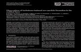 Observations of turbulence-induced new particle formation ...€¦ · 4320 Wehner et al.: Turbulence-induced particle formation in the residual layer particles coagulate with, and