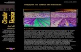 Irrigação no cultivo de brássicas 158ainfo.cnptia.embrapa.br/digital/bitstream/item/162601/1/CT-158.pdf · a mostarda (Brassica juncea), o nabo (Brassica napus), o rabanete ...