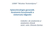 Splanchnologie generală Anatomia funcțională a...Planul prelegerii 1. Splanchnologie –noțiuni generale. 2. Structura viscerelor. 3. Anatomia funcțională a sistemului digestiv.