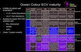 Ocean Colour ECV maturity · 2020. 8. 25. · Ocean Colour ECV maturity l CORE-CLIMAX self evaluation - v1.0 = Initial Operations - v2.0 = Full Operations l Applies to basic OC-CCI