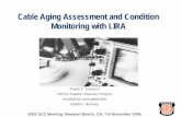 Cable Aging Assessment and Condition Monitoring with LIRAsite.ieee.org/npec-sc2/files/2017/06/SC-2Mgt06-2_Att5... · 2017. 6. 23. · 2 December 2006 LIRA as a Condition Indicator