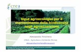 Trinchera Input agroecologici - SILPA · Convegno SILPA «Conoscenza del suolo per una fertilizzazione sostenibile» – San Michele all’Adige (TN), 25 Ottobre 2018 Modello sostitutivo