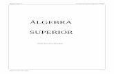 Mathcad - Notas de Álgebra Supepferrei/algebra_sup/Notas%20de...Ejercicios 2.1 ----- 91 Respuestas Ejercicio 2.1 ----- 92 2.7 Interpretación geométrica para la suma y el producto
