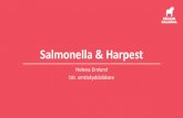 Salmonella & Harpest€¦ · •Svullna lymfkörtlar i vänster ljumske. CRP 49. •Sårsekret PCR: Positiv för Francisella tularensis. Harpest=tularemi •Sedan juli 2019: 326 fall.