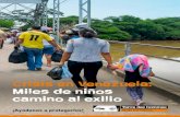 Crisis en Venezuela: Miles de niños camino al exilio · tenido que afrontar el segundo flujo migratorio más grande, después del de Siria. Diariamente desde principios de junio