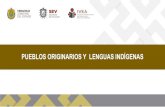 PUEBLOS ORIGINARIOS Y LENGUAS INDÍGENAS - Veracruzrepositorio.veracruz.gob.mx/ivea/wp-content/uploads/...PUEBLOS ORIGINARIOS Y LENGUAS INDÍGENAS Distribución Geográfica de los
