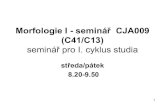 Morfologie I - seminář CJA009 (C41/C13)1 Morfologie I - seminářCJA009 (C41/C13) seminář pro I. cyklus studia středa/pátek 8.20-9.50
