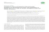 Mangiferin Improved Palmitate-Induced-Insulin Resistance by ...downloads.hindawi.com/journals/jdr/2019/2052675.pdf(P-AKT), glucose transporter 2 (GLUT2), and glucose transporter 4