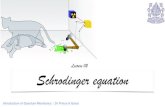 Lecture 02 Schrodinger equation...Schrodinger equation Lecture 02 Introduction of Quantum Mechanics : Dr Prince A Ganai Classical Physics Concept of Particle Concept of Electromagnetic