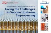 From Process Development to Scale-up Facing the Challenges ...€¦ · D riven by epidemic events and by governmental vaccination programs, there is a rising demand for development