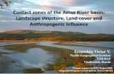 Contact zones of the Amur River basin: Landscape structure ......Contact zones of the Amur River basin: Landscape structure, Land cover and Anthropogenic influence Finance support