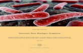 Tuberculose: Novas Abordagens Terapêuticas Serras.pdf · MDR – TB – Tuberculose multirresistente XDR – TB – Tuberculose extensivamente resistente ... bactéria, por exemplo,