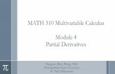 MATH 310 Multivariable Calculus Module 4 Partial Derivatives · 2019. 12. 5. · x cosy yex at (0, 0, 0). ... in the linearization of f is called the total differential of f. Differentials