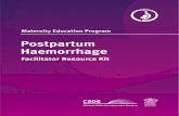 Maternity Education Program · Maternity Education Program The resources developed for Maternity Education Program (MEP) are designed for use in any Queensland Health facility that