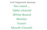 Cell Organelle Review - cisd.org · Cell Organelle Review You need…. Table cleared White Board Marker Eraser Mouth Closed! Word Bank •Vacuole •Cell Membrane •Cell Wall •Chloroplast