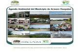 AGENDA AMBIENTAL DEL MUNICIPIO DE ARMERO GUAYABAL … · Desarrollo Sostenible y las Unidades Ambientales de los Grandes Centros Urbanos; en el nivel territorial define funciones