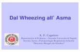 Dal Wheezing all’ Asma - SIPPSsuccessiva comparsa di asma / iperreattività bronchiale • Gli studi valutati (n.12) mostrano l’esistenza di una correlazione tra infezione delle