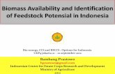 Biomass Availability and Identification of Feedstock Potensial ......Biomass Availability and Identification of Feedstock Potensial in Indonesia Bambang Prastowo bprastowo@gmail.com