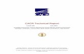 CACR Technical Report · 2012. 12. 26. · dering, ray-casting, shadow mapping, CFD, VolumePro, OpenGL, VIA, Clos. 1 Introduction In previous work [13, 14] a commodity-based architecture