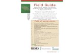 Field Guide - James Cook University · Sodic Soils Field Guide — 7 6 — Sodic Soils Field Guide TABLE 1: Field texture grades and the approximate percentage of clay (particles