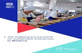 The enabling environment for sustainable ... - ilo.org€¦ · Small and Medium Enterprises (SME) Unit, of the ILO headquarters in Geneva, in collaboration with Iulia Drumea, Employers’