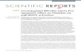 Unconjugated Bilirubin exerts Pro-Apoptotic Effect on ... · PDF file underlying molecular signalling pathway. We also report the observed incidences of thrombocytopenia in hyperbilirubinemia