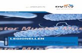 wvgw · Deutscher Verein des Gas- und 'Nasserfacþes e. . O  ster LEGIONELLEN DVGW INFORMATION— Informationen und Hilfestellungen für Betreiber von Trinkwasser-lnstallationen