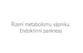 Řízení metabolismu vápníku. Endokrinní pankreas€¦ · Endokrinní pankreas. Metabolismus vápníku •V lidskémtělecca 1000 –1100 g vápníku •Většina- tvrdétkáně(98