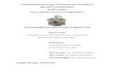 Tesis monográfica para optar al título de Ingeniero Civilrepositorio.unan.edu.ni/9640/1/83176.pdf · ¨ Diseño del muelle de la Terminal Lacustre en Momotombo, Municipio de La