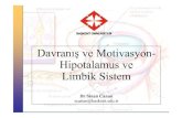 Davranış ve Motivasyon- Hipotalamus ve Libik iimbik Sistem Limbik Sistem – Amiggdala – Duyyuların İşlenmesi Hisler ve Motivasyon • Hipotalamus, limbik sistem ve korteks
