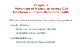 Chapter 4 Movement of Molecules Across Cell Membranes = Trans-Membrane … · 2017. 12. 20. · • primary active transport: ATP directly consumed (e.g., Na+ K+ATPase) • secondary
