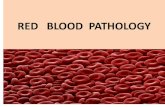 RED BLOOD PATHOLOGYdo.rsmu.ru/fileadmin/user_upload/lf/RED__BLOOD...Erythrocyte sedimentation rate - ESR Panchenkov method, Westergren method AGE Children WOMEN MEN Midle age 10 -12