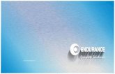 PowerPoint Presentationimages.endurancegroup.com/endurance-brochure-2016.pdf · 2016. 6. 15. · Hero Motocorp • Alfa Romeo Audi Bentley BMW Chevrolet • Chrysler • Citroën