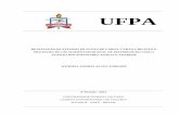 UFPA · 2019. 4. 10. · de proteção, o dimensionamento dos mesmos, o estudo e a avaliação da proteção são realizados de modo a conseguir uma coordenação e seletividade ótima