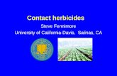 Steve Fennimore University of California-Davis, Salinas, CA...Goal (oxyfluorfen) Chateau (flumioxazin) Shark (carfentrazone) Title Weed Science Program Author Steven A. Fennimore.