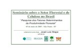 Seminário sobre o Setor Florestal e de Celulose no BrasilContexto Brasileiro-3.0 milhões ha Eucalyptus-Aumento da Produtividade: 4 x1960 12 m3 ha ha-1 ano-1 Atual 50 m3 ha ha-1-1
