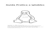 Guida Pratica a iptables - Libero Community...Guida pratica a iptables 4 1 Introduzione Circa un anno fa, ho iniziato a studiare questo potente strumento che è netfilter, affascinato