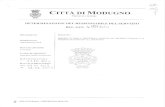Albo Pretorio On Line [ Città di Modugno ]85.39.122.76/trasparenza/determina 1229_2014.pdf · PDF file filomena florinda matteo raffaella clelia michele giovannina nicola rosaria