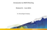 Introduction to ANSYS Meshing Module 01: Core Skills Introduction to ANSYS Meshing Dr. Ahmed Nagib Elmekawy