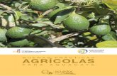 BUENAS PRÁCTICAS AGRÍCOLASextwprlegs1.fao.org/docs/pdf/ecu167499.pdfde promover su incorporación al cumplimiento de la norma “Buenas Prácticas Agropecuarias”; Que, mediante