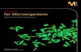 Stains for Microorganisms · PDF file 2020. 3. 1. · In bacteriology, staining solutions often contained phenol to be able to visualise all bacteria with one and the same stain. Due