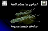 Helicobacter pyloridepa.fquim.unam.mx/bacteriologia/presntaciones/Brucella192.pdf · Factores de virulencia H. pylori Exotoxinas CagA. Toxina que se relaciona con una mayor virulencia