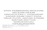 HIPERURISEMIA NORVEGICUS) WISTAR (RATTUS TIKUS PUTIH … · 2019. 5. 12. · Kode Pos 65144, Indonesia. ABSTRAK Efek Pemberian Seduhan Seledri (Apium graveolens L)Terhadap Kadar Asam